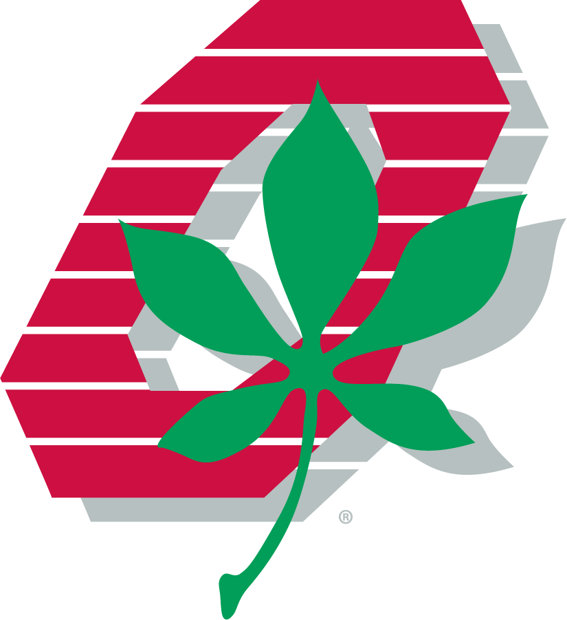 Ohio State Buckeyes 1987-1991 Primary Logo diy iron on heat transfer